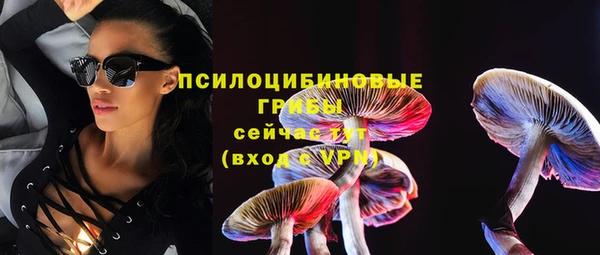 apvp Ростов