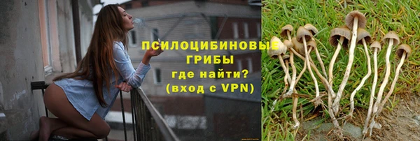 apvp Ростов