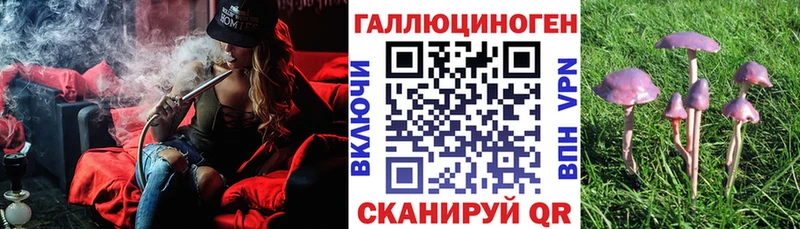 Галлюциногенные грибы прущие грибы  Купить  Данилов 